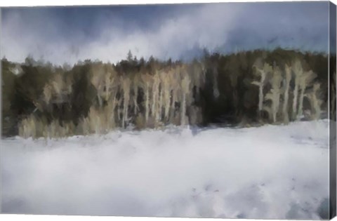 Framed Winter Impressions In Colorado 11 Print