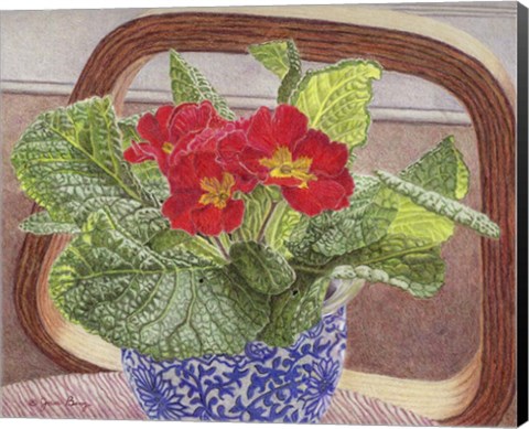 Framed Primrose Print