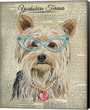 Framed Yorkshire Terrier Print