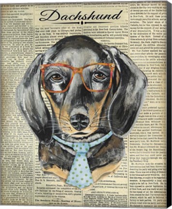 Framed Dachshund Print