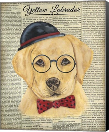 Framed Yellow Labrador Print