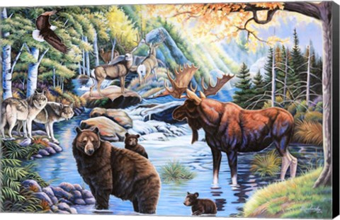 Framed North American Wildlife Print