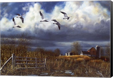 Framed Autumn Snows Print