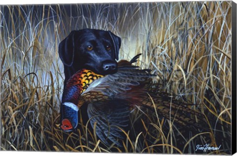 Framed Bird Season Print
