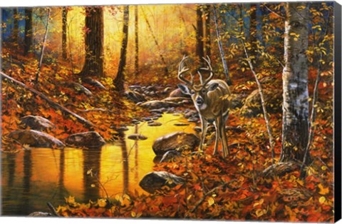 Framed Close Encounter Print
