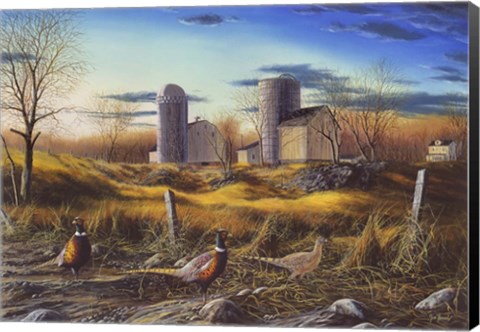 Framed Fenceline Ringnecks Print
