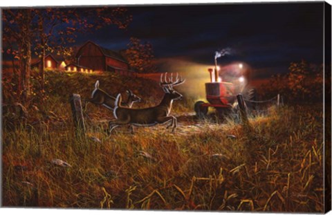 Framed Field Of Dreams 2 Print