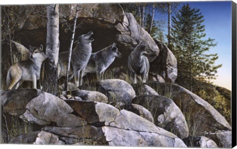 Framed Rocky Outpost Print