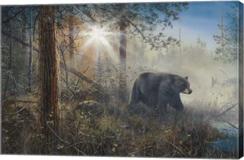 Framed Shadow In The Mist Print
