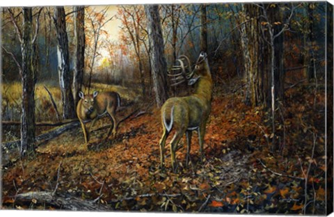 Framed Signs of Autumn Print