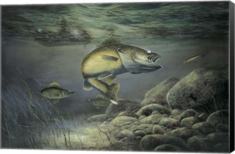 Framed Taking The Bait Print