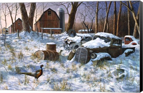 Framed Winter Haven Print