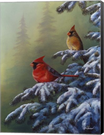 Framed Winter Refuge - Cardinal I Print