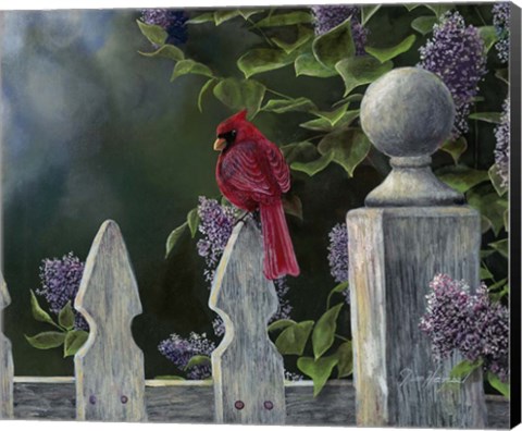 Framed Birds Eye View Print