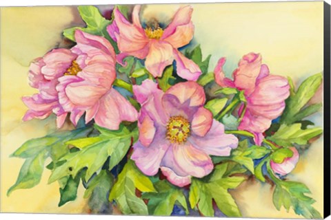 Framed Peonies in Early Light Print