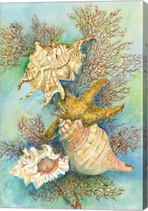Framed Shells in the Deep Green Sea Print