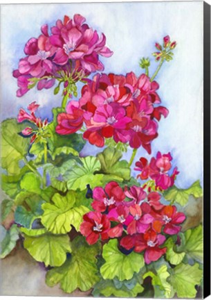 Framed Bold Blue Sky Bright Geraniums Print