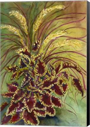 Framed Coleus and Grasses Print