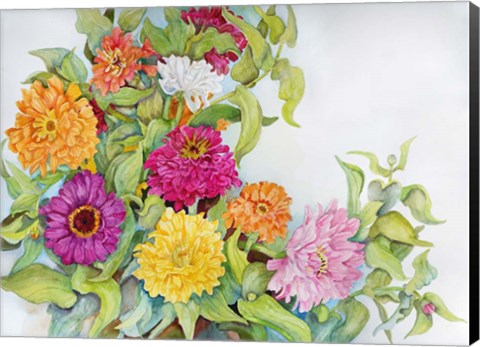 Framed Festively Colored Zinnias Print