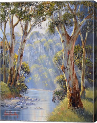 Framed Riverside Gums   Tumut Print