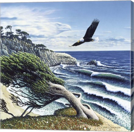 Framed Eagle Cove Print
