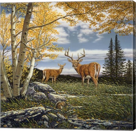 Framed Woodland Meadows Print
