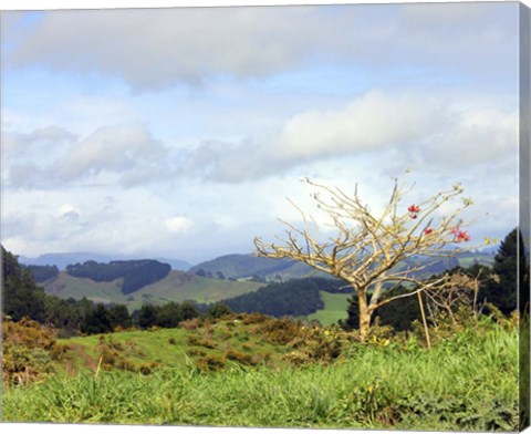 Framed New Zealand 2 Print