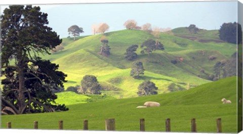 Framed New Zealand 6 Print