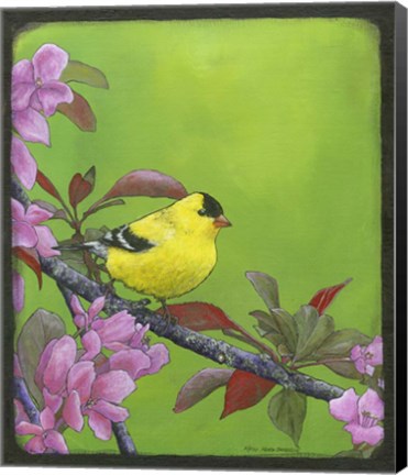 Framed Goldfinch Print
