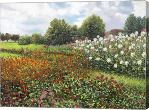Framed Fleurs du jardin Print