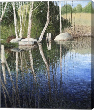 Framed Reflections in a Blue Pond Print