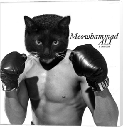 Framed Meowhammad Ali Print