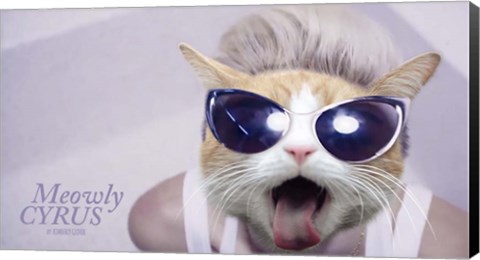 Framed Meowly Cyrus Print