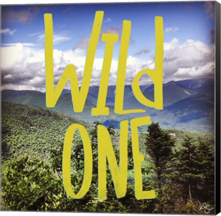 Framed Wild One Mountains Print