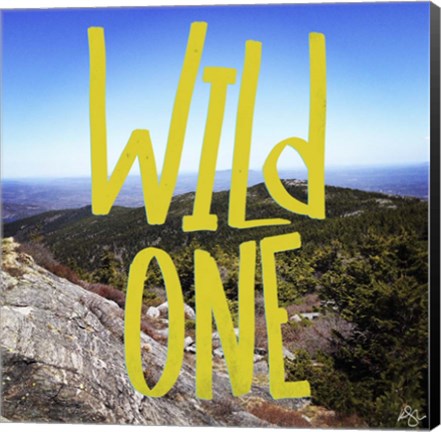 Framed Wild One View From The Top Print