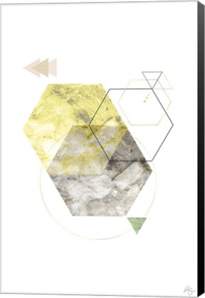 Framed Polys Gone Print