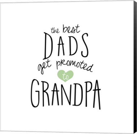Framed Promoted To Grandpa Print