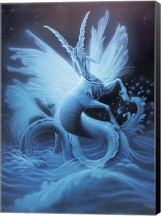 Framed Capricorn - Sketch Print