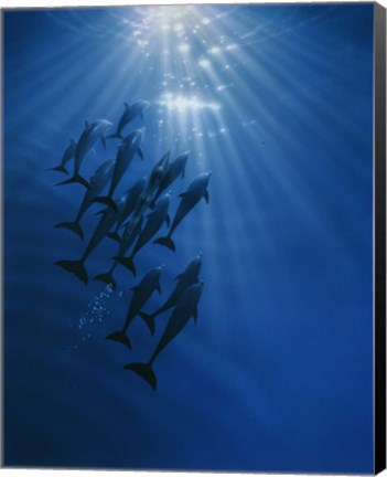 Framed Gathering Print