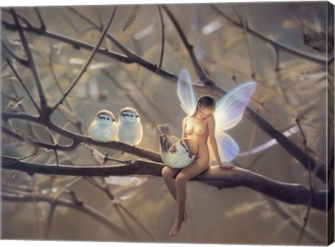 Framed Feathered Friends - N Print