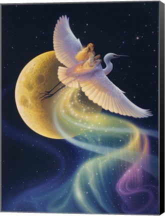 Framed Flight Of The Aurora Print