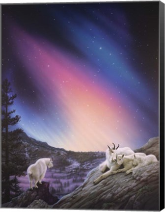Framed Peaceful Night Print