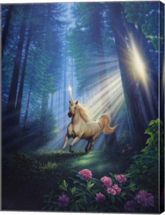 Framed Secret Forest Print