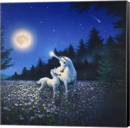 Framed Spring Beauty Print