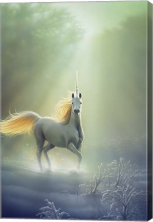 Framed Touched By The Aurora Print