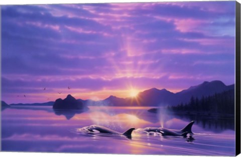 Framed Tranquility Bay Print