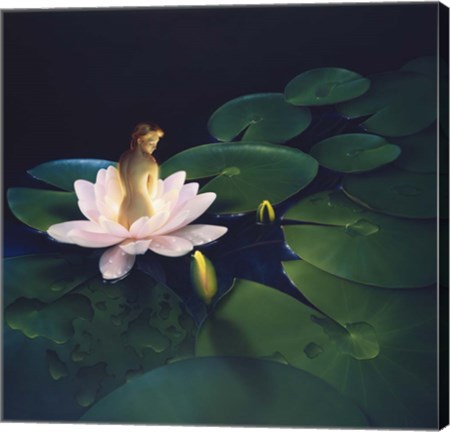 Framed Waterlilies Print
