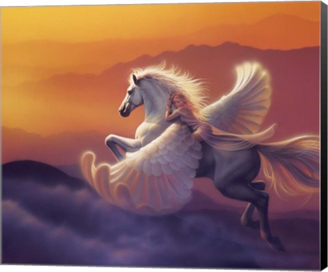 Framed Wings Of A Dream Print