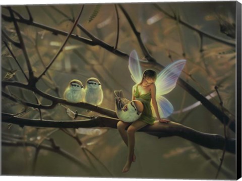 Framed Feathered Friends - C Print