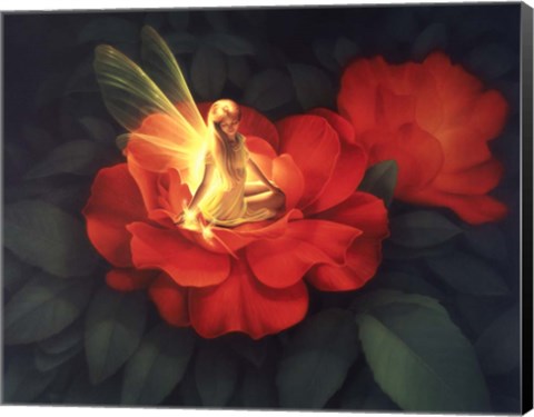 Framed Night  Light - C Print